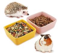 2 Pcs Pet Ceramic Food Bowl and Water Dish Feeder for Guinea Pig Hedgehog Squirrel Small Animals