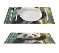 2 PCS Placemats Set PVC Vinyl Woven Table Mats Heat-Resistant Farmhouse Place Mat Non-Slip Washable Funny Panda Woven Placemats for Dining Table Kitchen Weddings Party Decor