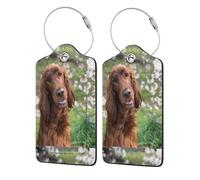 2 Pcs PU Leather Travel Cruise Luggage Tag with Privacy Flap, Tag Label Travel Suitcase Identifier ID Tags Funny Irish Setter