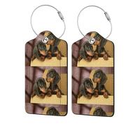 2 Pcs PU Leather Travel Cruise Luggage Tag with Privacy Flap, Tag Label Travel Suitcase Identifier ID Tags Dachshund Puppies Pets Dogs Small Dachshund