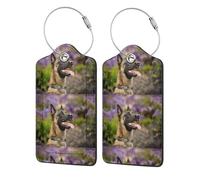 2 Pcs PU Leather Travel Cruise Luggage Tag with Privacy Flap, Tag Label Travel Suitcase Identifier ID Tags Belgian Malinois Pets Dogs Belgian Malinois