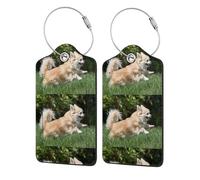 2 Pcs PU Leather Travel Cruise Luggage Tag with Privacy Flap, Tag Label Travel Suitcase Identifier ID Tags Playing Chihuahua Pattern
