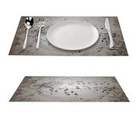 2 PCS PVC Heat Resistant Placemats 12x18 Inch Washable Non-Slip Table Mats for Dining Table, Music Note Wall Place Mats for Holiday Party Kitchen Dining Decor