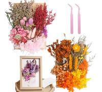 2 Pcs Real Dried Flowers Natural Dry Flowers Mixed Colors Dried Leaf Bouquet for DIY Arts, Resin, Jewelry, Scrapbooking & Wedding Home Decor(Multicolor Orange)