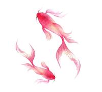 2 pcs Red Carp Koi Temporary Tattoo Ancient Style Fish Pattern Japanese Waterproof Ink Tattoo Stickers For Men And Women