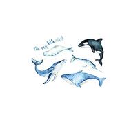 2 pcs Sea World Colorful Temporary Tattoo Dolphin Small Fresh Waterproof Sticker