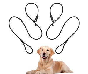 2 Pcs Slip-Lead for Dogs, 1.5m Dog Training-Lead To Stop Pulling, Durable Adjustable Slip-Leads for Small Dogs - No Collar or Harness Needed (Black)