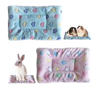2 Pcs Small Animal Plush Bed, Washable Warm Fluffy Puppy Blanket Mattres, Ultra Soft Dog Cat Bed Mat Puppy Blanket for Rabbit Guinea Pig Bunny, 35×25cm