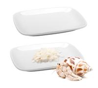 2 Pcs Small Reptile Feeding Dish Ceramic Eating Basin Feeding Bowl for Hermit Crab Snail Cricket Insect Invertebrate Isopod