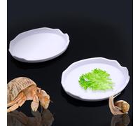 2 Pcs Snail Water and Food Bowl Hermit Crab Feeding Dish for Snail Crab Millipede Cricket Tarantula Insect (White)