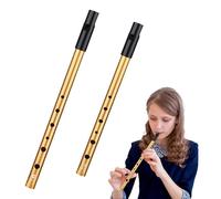 2 Pcs Tin Whistle, Aluminum Alloy D&C Tin Whistles, Irish Penny Whistle for Traditional Celtic Music, Premium Six-Hole Penny Slide Whistles, for Beginners Intermediate and Expert Band Performances