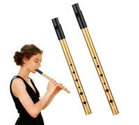 2 Pcs Tin Whistle, Tin Whistle D & C Irish Whistles, 6-Hole Aluminum Penny Whistles for Beginners & Traditional Celtic Music Lovers (Gold)