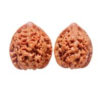 2 PCS Wenwan Walnuts, Natural Chinese Walnuts Fidget Hand Exercise Relief Tool Stress Balls for Mindfulness and Relaxation, Gifts for Fathers, Elders