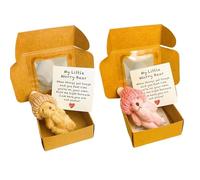 2 PCS Worry Bear in a Box, My Little Worry Bear in a Box Set, Mini Plush Bears with Inspirational Cards, Stress Relief Gift for Students, Couples, And Professionals (Pink and Brown)