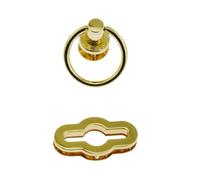 2 Pcs Zinc Alloy Die Casting Lock Clasp Golden Replacement