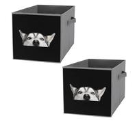 2 PCsSquare Oxford Cloth Storage Basket Bin Foldable Organizer with Handles, Waterproof Laundry Hamper 10.6"x10.6"x10.6" Print Close-up Head Peeking Siberian Husky Dog with Blue on Dark