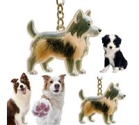2-Piece Border Collie Pet Fur Commemorative Keychain, Transparent Border Collie Model Fur and Nails Storage Capsule, Commemorative Pendant, Fun Gift Box