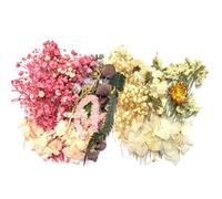 2-Piece Dried Flower Set, Dried Flowers For Crafts, Dried Flowers For Art, Handmade Diy Dried Flower Decoration, Embossing Material Package, Suitable For Scrapbooking And Crafts