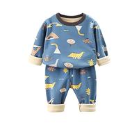 2-Piece Fleece Lined Sleepwear for Kids Toddler Boy Girl Fall Winter Cartoon Pajamas Top+Pants Set Loungewear Long Sleeve Pants Pullover Sleepwear Set (F, 7-8 Years)