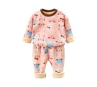 2-Piece Fleece Lined Sleepwear for Kids Toddler Boy Girl Fall Winter Cartoon Pajamas Top+Pants Set Loungewear Long Sleeve Pants Pullover Sleepwear Set (Pink, 7-8 Years)