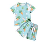 2-Piece Girls Easter Pyjamas Set Bunny Carrot Print Easter Clothes Short Sleeve Crew Neck Sleepwear Tops Shirts with Shorts Cute Rabbit Loungewear for EasterSpring Break Cosy Nights Sky Blue