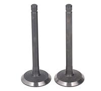 2 Piece Intake and Exhaust Valve Assembly Suitable for Ezgo Gasoline Engines 295cc-350cc Fuji Robin Engine Specific Reinforced Seal Design Original Factory Replacement Part