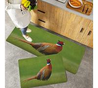 2 Piece Non-Slip Kitchen Mat,Bird Common Pheasant Long Tail on The Grass Meadow Habitat Czech Republic European Orange Green,Rubber Backing Doormat Kitchen Floor Mat Runner Rug Set 40x60 cm+40x120 cm