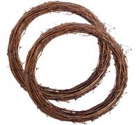 2 Pieces 25 cm Large Natural Grapevine Wreathes Vine Branch Wreath Easter Rattan Wreath for Easter Door/Wall Decor Hand-woven Christmas Wreath (25cm)