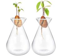 2 Pieces Avocado Seed Starter Vases, Avocado Vases Grow Glass Avocado Seed Vases Avocado Garden Vases Aqua Culture Vases Avocado Seed Sprouter Avocado Tree Growing Kit for Gardening Lovers