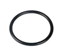 2 Pieces Black Hydrogenated Nitrile O-ring, 2.62x158.42x163.66mm