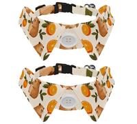 2 Pieces Capybaras with Citrus Fruits Dog Collars for Medium Dogs, Cat Bow Tie with Buckle, Collared Shirts for Pet Bowties, Neck 11.2-12.2 in