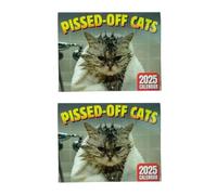 2 Pieces Cat Calendar 2025, Angry Kittens Desk Calendar 2025, Cat Diary 2025 Monthly Planner, Pissed Off Cats Calendar 2025, Funny Cats Wall Calendar 2025 For Living Room Study Room Bedroom