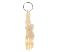 2 Pieces Human Heart Keychain Mini Human Heart Model Mini Model School Learning Supplies Made of PVC with Detailed Design Suitable for