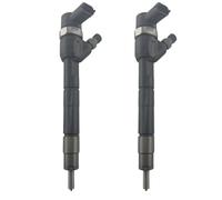 2 Pieces OE 0445110296 Common Rail Fuel Injector Nozzle - Compatible with Diesel Engines, High-Precision Automotive Fuel Injection Parts