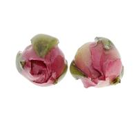2 Pieces Resin Wrapped Real Flower Charms DIY Jewelry Making Finding Flower Bud, 2x1cm