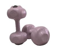 2 Pieces Water Filled Dumbbell Versatile Exercise Equipment, Adjustable Weights for Kindergarten Gym, Home Fitness, Women, Men- 4kg