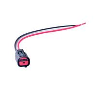 2 Pin Auto Connector Plug Valve Plug IMRC Vavle Plug 15383213 13579999(With wires)