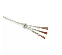 2 pin electrical wire, Pure Copper Core Fireproof Wire 2 Cores to 5 Mica Braided High Temperature Resistant 20AWG to 11AWG(3 Core 1meter,13 AWG 2.5mm)