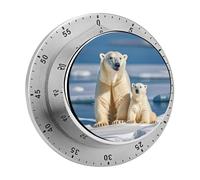 2 Polar Bears Kitchen Timers for Cooking Visual Timer Stainless Steel Magnetic Timer with Alarm Cooking Timers for Baking, Exercise, Sports, Study & Outdoor Use