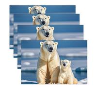 2 Polar Bears Placemats Set 30x45cm*4 Heat Resistant Washable Placemat Waterproof Table Placemats Non-Slip Wipeable Tables Mat Kitchen Place Mats for Dining Party Home Decor