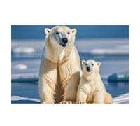 2 Polar Bears Placemats Set 30x45cm Heat Resistant Washable Placemat Waterproof Table Placemats Non-Slip Wipeable Tables Mat Kitchen Place Mats for Dining Party Home Decor