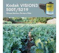 Lomography, Berlin Kino Film, Black/White Negative, 400 ISO, 35mm (F436BWCINE)