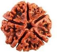 2 RUDRAKSHA with a Sri Sukta-text with english translation../S.K.ramachandra rao