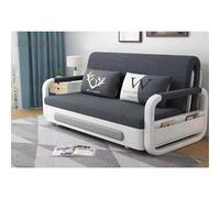 2-Seater Pull Out Sofa Bed Settee, 3-in-1 convertible sleeper sofa bed, Sofa Bed with Storage - Pull Out Sofa Bed, for Living Room or Bedroom,005,100cm