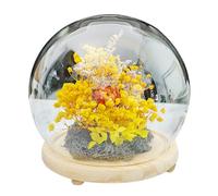 2 Set Clear Glass Domed Decorative Box with Wooden Base Decorative Display Bell Jar,6 in DIY Snow Globe Box Preserving Display Case for Flower Table Top Centerpieces,Home Christmas Party Decorations