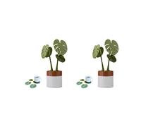2 Set Monstera Plant Coasters Set 3D Printed,Waterproof&Anti-Scald Plant Coasters, 3D Printed Coasters Magnetically A