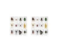 2 set of 12 Pieces Animal in Resin Collection for Classroom Biologists Boys and Girls
