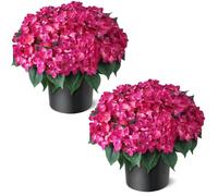 2 Sets 22"Artificial Hydrangea Flower Topiary Trees for Porch(Rose Red)