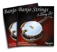 2 SETS! Adagio Professional 5-String Banjo Strings