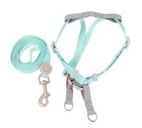 2 Sets Adjustable Cat Harness Cat Walking Leash Pet Leash Small Dog Harness Invisible Cat Leash Dog Walking Leash Cat Ha (A 1 150x1cm)